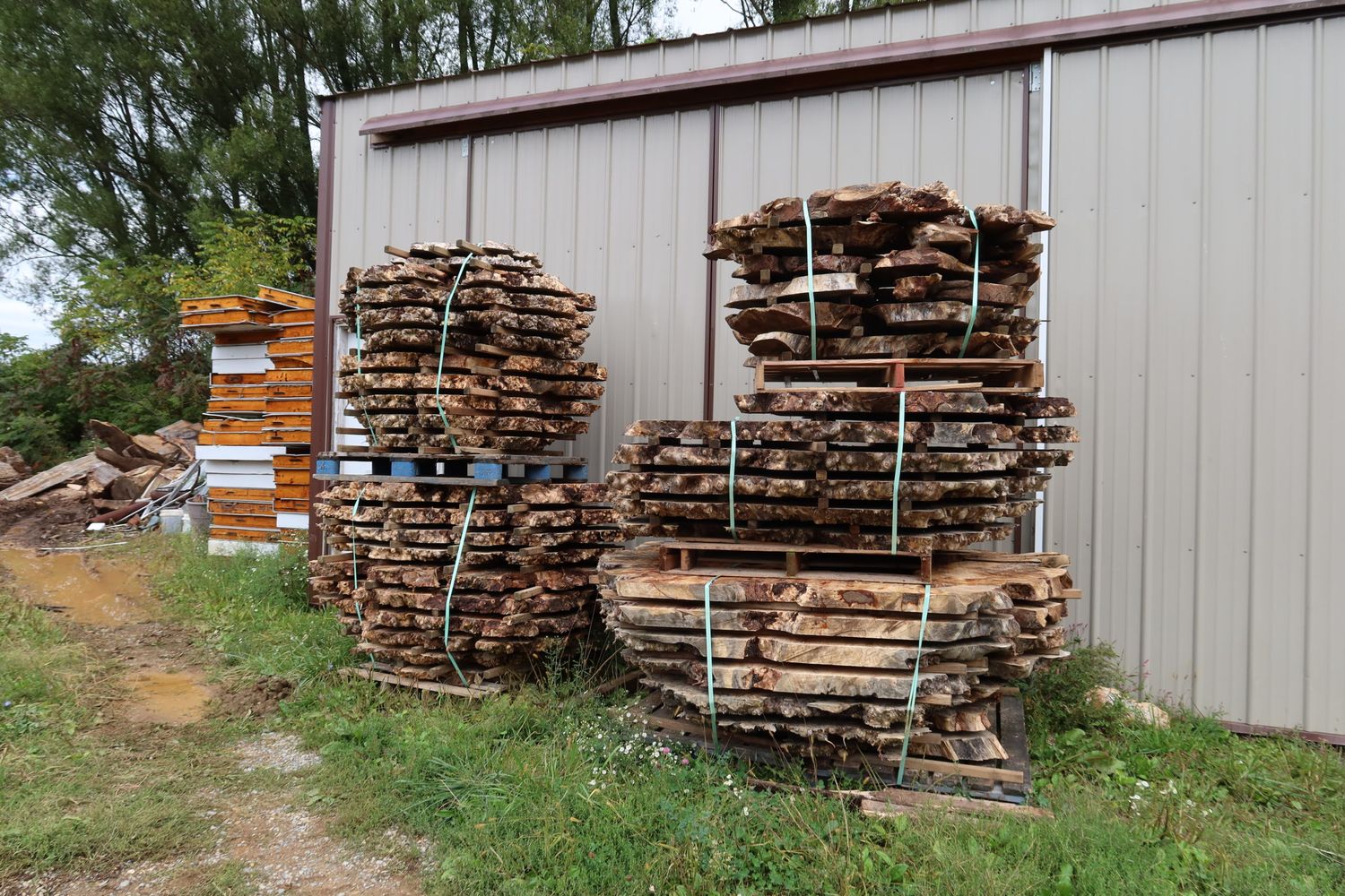 Stacks of live edge slabs at the Custom Wood Creations mill