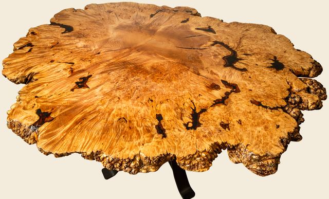 Round Maple Burl Dining Table, Maple Burl