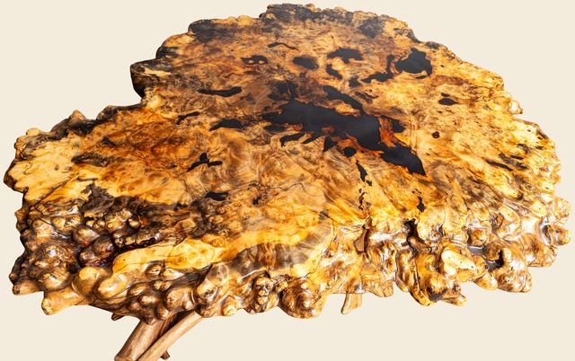 Buckeye Burl Coffee Table, Buckeye Burl
