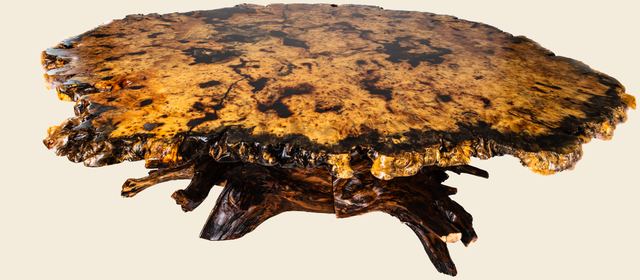 Buckeye Burl on Root Base, Buckeye Burl