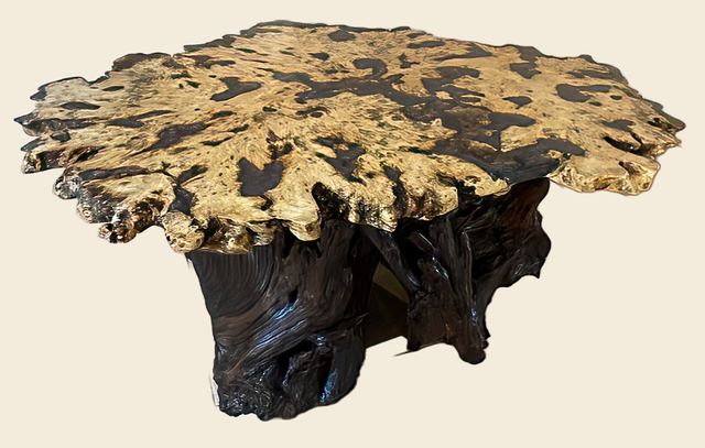 Buckeye Burl Dining Table on Roots, Buckeye Burl