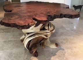 Redwood Burl Coffee Table on Juniper, Redwood Burl